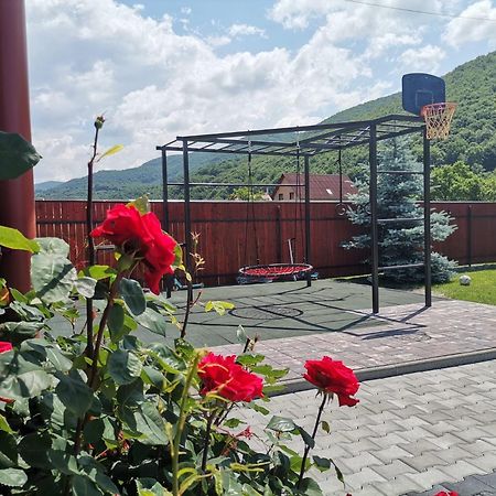 Dio Vendeghaz Hotel Praid Exterior photo